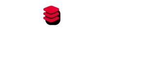 BricksPerformers Logo - Footer